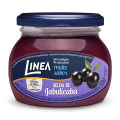 GELEIA DIET LINEA JABUTICABA 230G