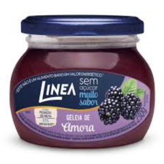 GELEIA DIET LINEA AMORA 230G